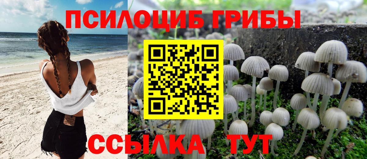 Галлюциногенные грибы GOLDEN TEACHER  где продают наркотики  Барабинск  Галлюциногенные грибы мицелий  Вход с VPN 